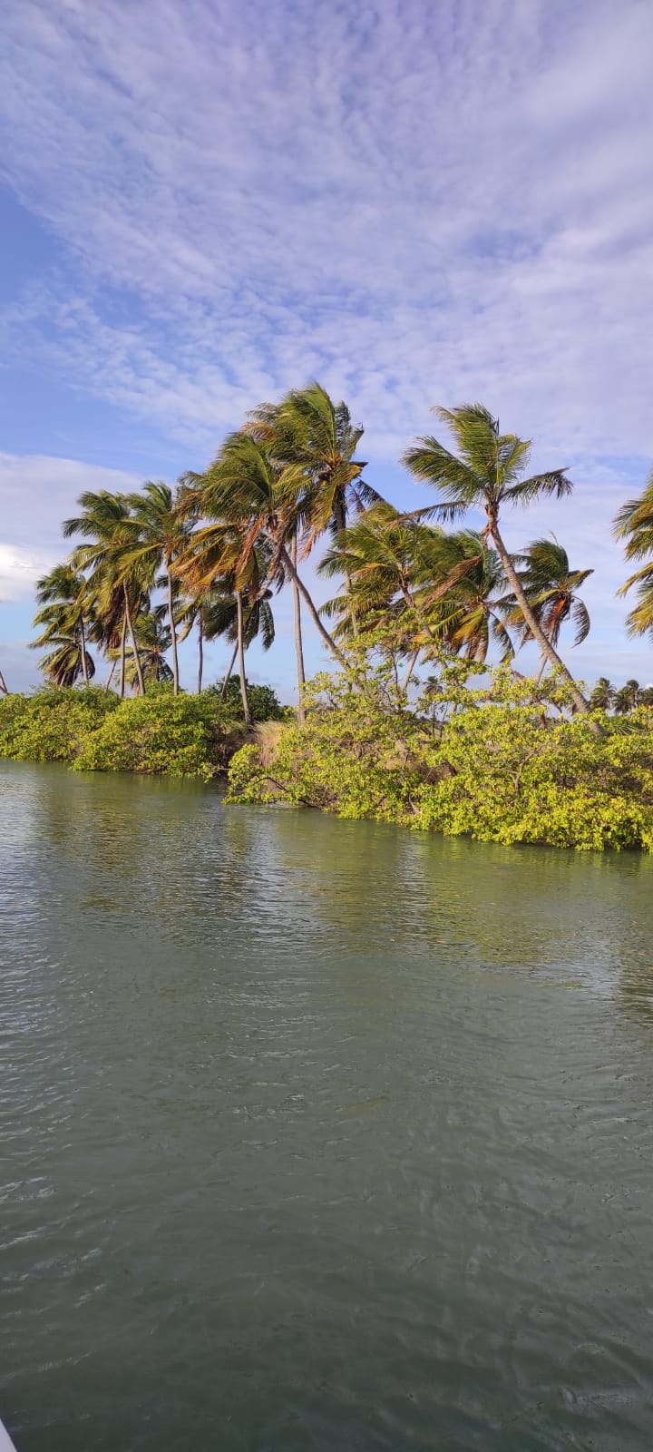 barco-pipa1